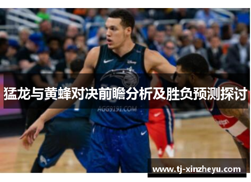 猛龙与黄蜂对决前瞻分析及胜负预测探讨