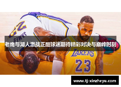 老鹰与湖人激战正酣球迷期待精彩对决与巅峰时刻